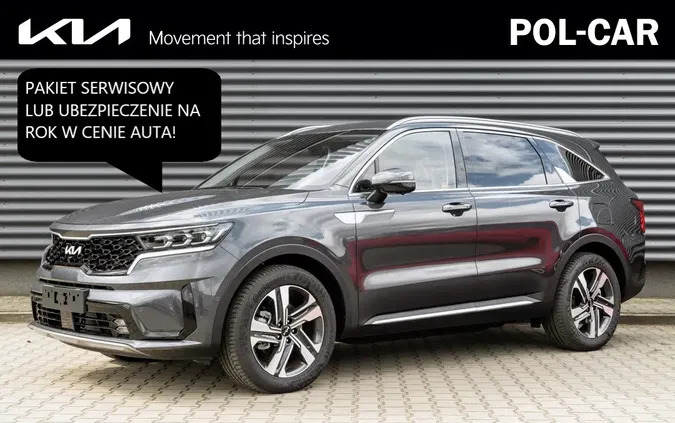 kia Kia Sorento cena 249900 przebieg: 5, rok produkcji 2023 z Miłakowo